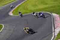 Middle Group Black Bikes